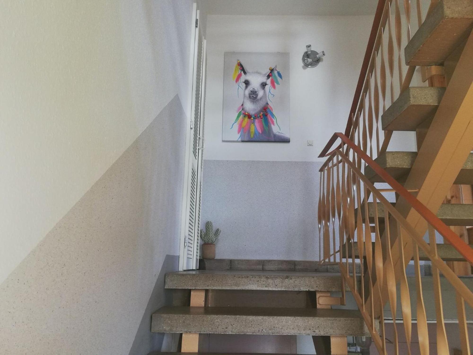 Apartment With Panoramic View Brotterode Buitenkant foto